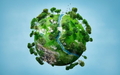 Ecología nativista vs ecología de la novedad