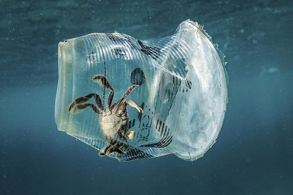 Fondo marino con residuos de plástico. Credito EPA