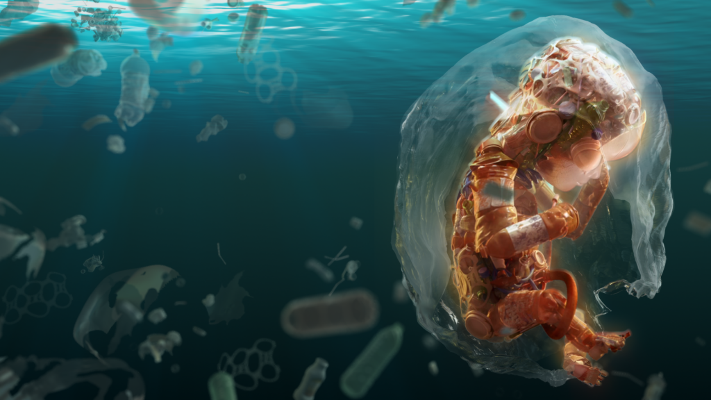 Micropásticos encontrados en una placenta humana. Créditos: Plastic